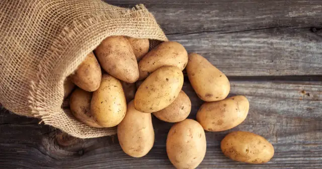 Najlepsze odmiany ziemniaka na frytki, które zapewnią idealny smak