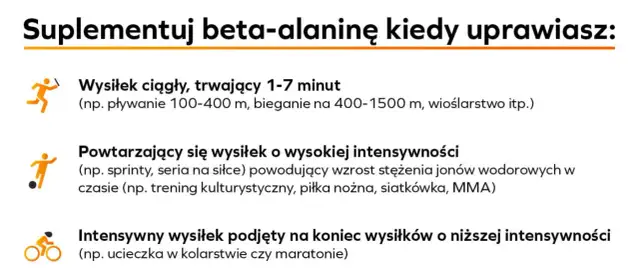Beta-alanina: Przed czy po treningu? Klucz to regularność!