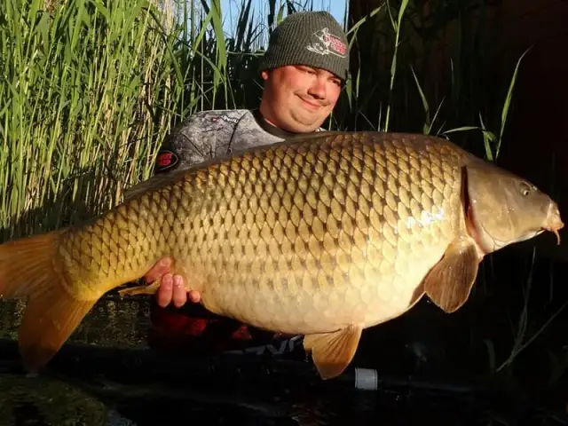 Melasa na jakie ryby: skuteczne przynęty i tajemnice wędkarskie