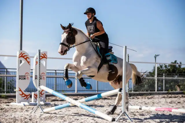 Stadnina w Pcimiu: idealne miejsce na wypoczynek i przygodę jeździecką