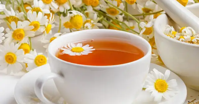 Czy picie rumianku odchudza? Sprawdź, jak może wspierać dietę