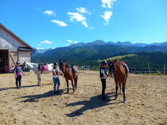 Klub jeździecki Łańsk - wyjątkowe jazdy konne i niezapomniane przejażdżki
