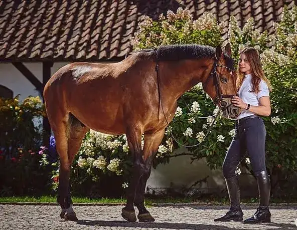 Stadnina koni Studniewski - wyjątkowe jazdy i niezapomniane wydarzenia