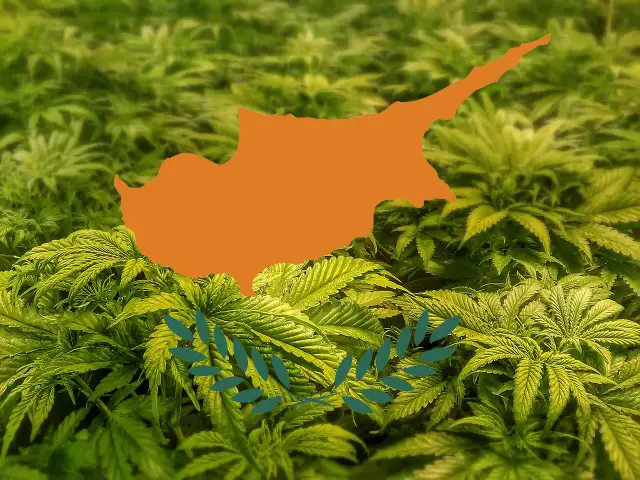 Marihuana na Cyprze: Legalna? Surowe prawo i CBD - poznaj fakty
