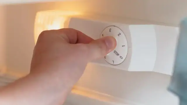 Optymalna temperatura w zamrażarce Samsung No Frost? Ustaw ją sam!