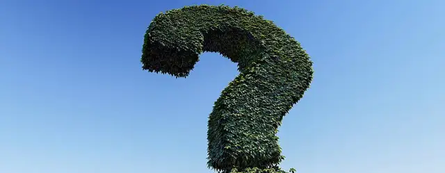 Kto pyta nie błądzi cytaty – poznaj mądrość przysłowia i jego znaczenie