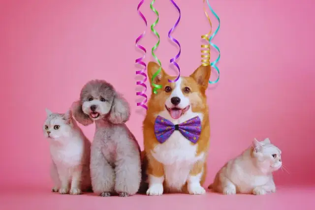 Kiedy jest światowy dzień psa i dlaczego warto go obchodzić