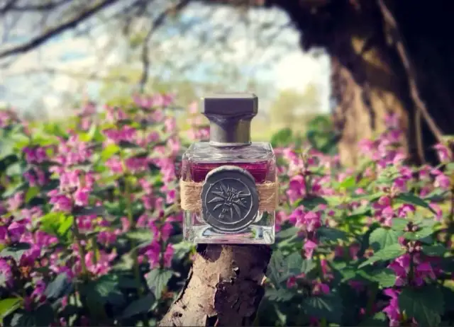 Gdzie kupić perfumy bez i agrest? Sprawdź najlepsze oferty!