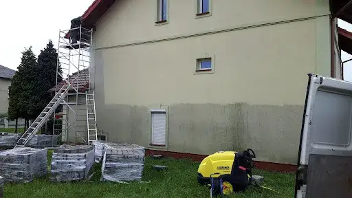 Skuteczne sposoby na to, jak pozbyć się much z elewacji budynku