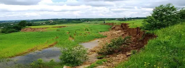 Co to jest rewitalizacja gruntów i jak zmienia zdegradowane tereny?