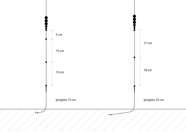 Dobór haczyka spławikowego: Jak wybrać idealny i łowić więcej?