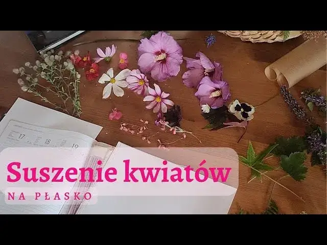 Jak suszyć kwiaty na płasko, aby uniknąć pleśni i zgnilizny