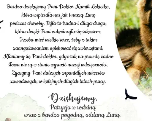 Jak napisać podziękowanie dla weterynarza i wyrazić wdzięczność