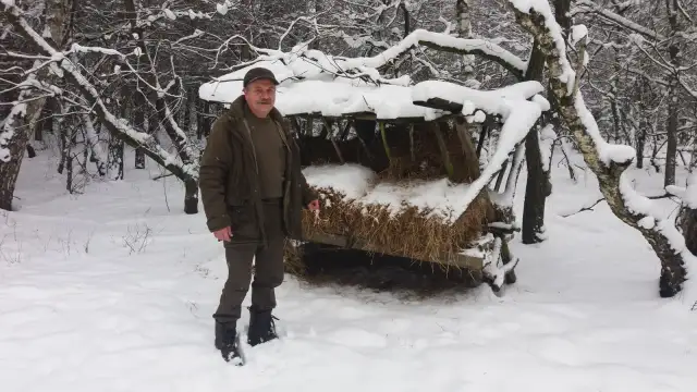 Dokarmianie zwierzyny: Czy myśliwi pomagają, czy szkodzą?