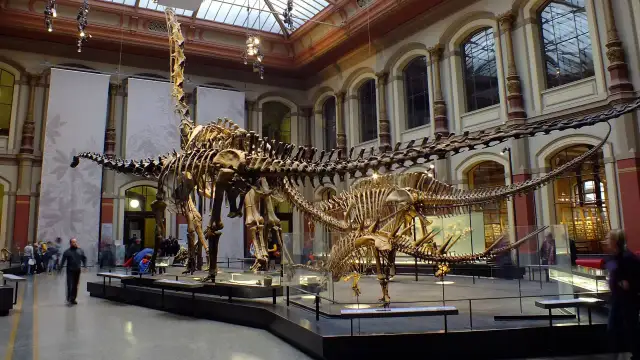 Muzeum Historii Naturalnej Berlin: Przewodnik i bilety