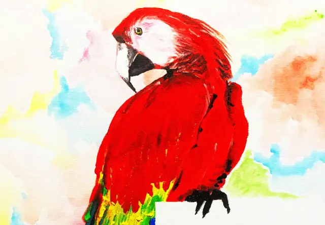 Jak narysować papugę? Odkryj swój talent krok po kroku!