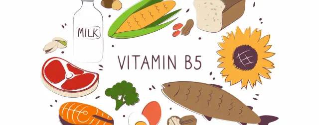 Wichtige Informationen über Vitamin B5: Funktionen, Quellen und Vorteile