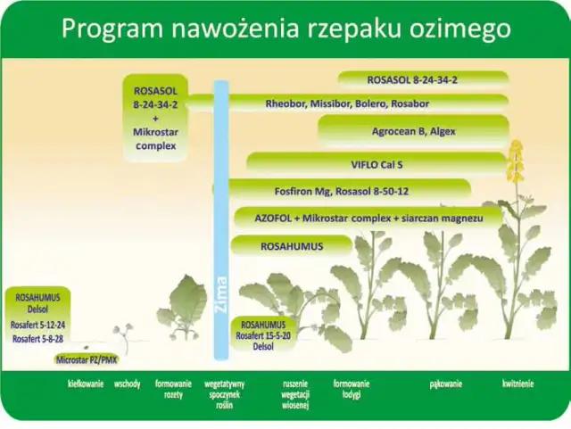 Jaki nawóz do żurawki: 8 skutecznych metod nawożenia