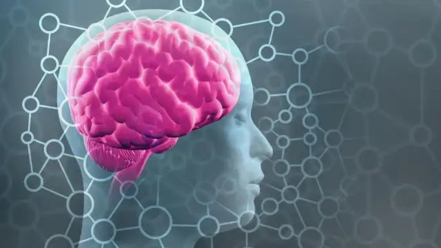 Jak się uczyć żeby zapamiętać skutecznie i uniknąć zapomnienia