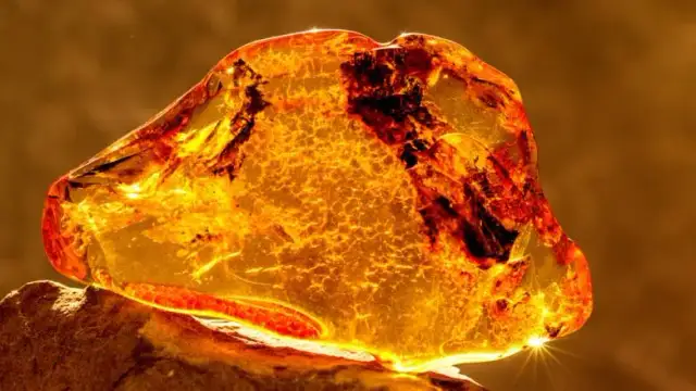 Jak znaleźć bursztyn nad Bałtykiem? Najlepsze miejsca i porady