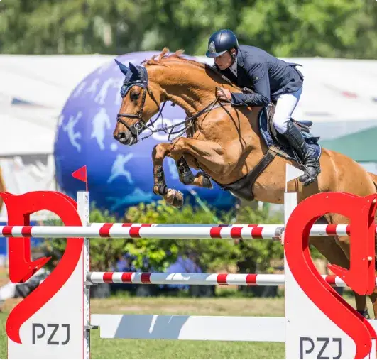 Skoki jeździeckie: historia, zasady i jak zacząć przygodę z nimi