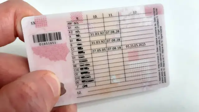 Jakie dokumenty są potrzebne do profilu kierowcy zawodowego?