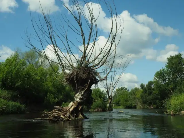 Spływy kajakowe Bzurą: Przewodnik po trasach, cenach i organizacji