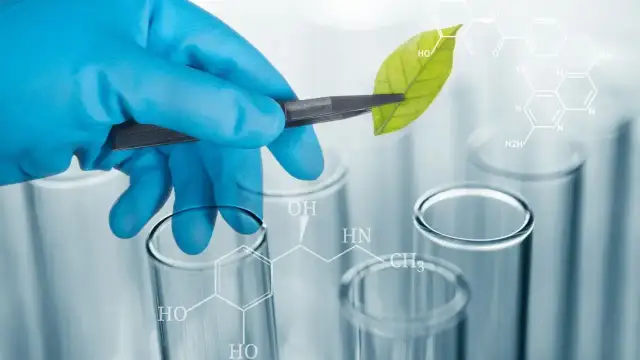 Biologia praca po studiach: jak uniknąć trudności w zatrudnieniu