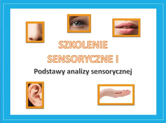 Skuteczne szkolenia sensoryczne dla dzieci i analizy sensorycznej