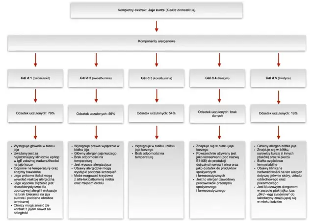 Co uczula w jajku: białko czy żółtko? Poznaj różnice i ryzyko