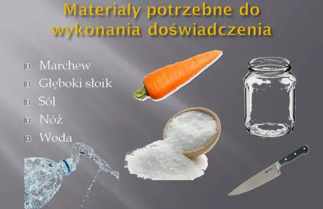 Co to osmoza w biologii? Kluczowy proces dla życia organizmów