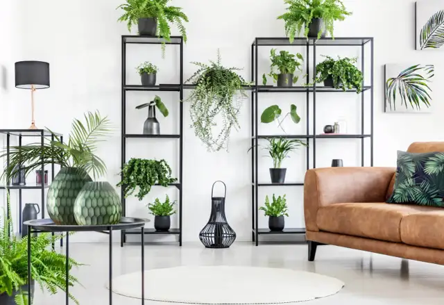 Co postawić na półce w salonie? Odkryj sekrety perfekcyjnej aranżacji.