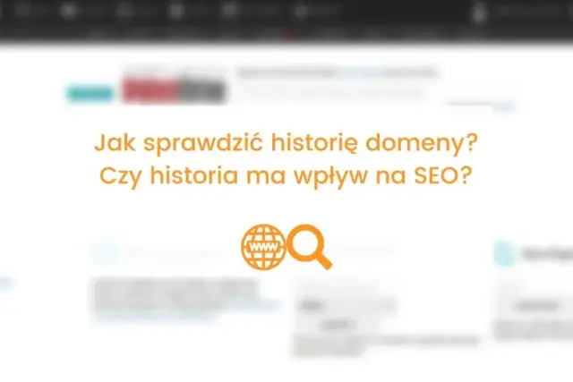 Jak sprawdzić domenę? Odkryj jej historię i potencjał SEO