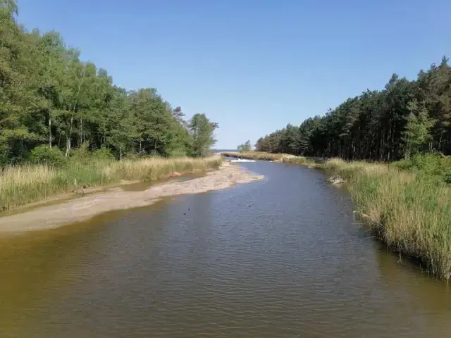 Najlepsze trasy rowerowe w Dąbkach – odkryj malownicze szlaki