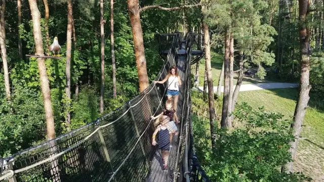 Najlepsze atrakcje w Pomiechówku, które musisz zobaczyć z rodziną