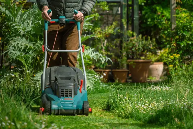 Jaka kosiarka elektryczna do Twojego ogrodu? Pełny poradnik.