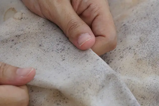 Jak skutecznie usunąć plamy na białych ubraniach po praniu?