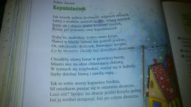 Kapuśniaczek wiersz – analiza i interpretacja pięknego utworu Tuwima