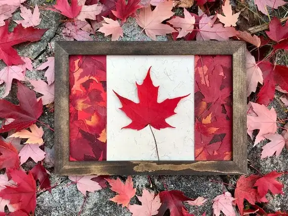 Flaga Kanady: Symbolika, historia i co oznacza liść klonu?