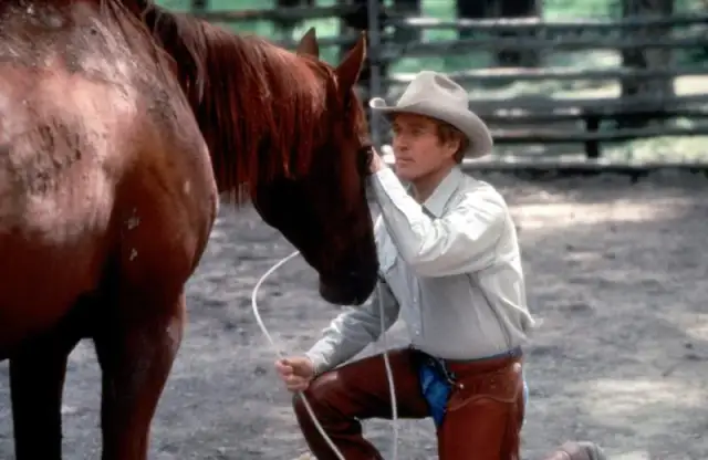 Najlepsze filmy o jeździectwie, które musisz zobaczyć i poczuć pasję