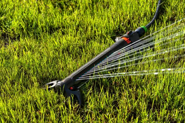 Zraszacz wahadłowy: Jaki wybrać? Poradnik i ranking modeli