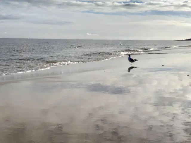 Kąpiel w Bałtyku: Kiedy jest bezpieczna i komfortowa?