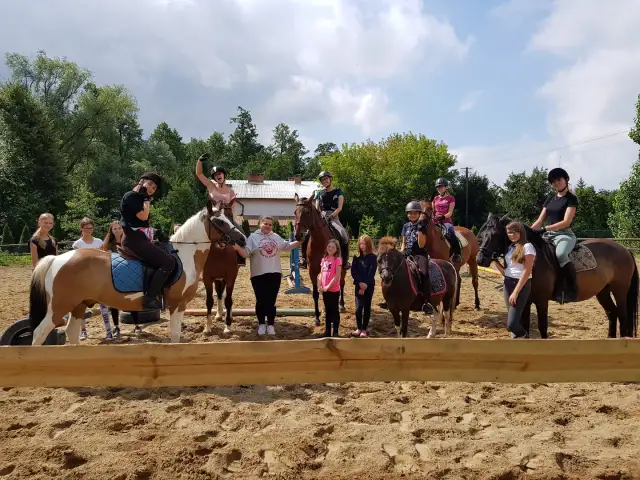 Klub jeździecki Zacisze: wyjątkowe miejsce na naukę jazdy konnej