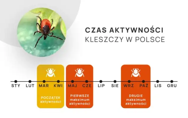 Od kiedy kleszcze? Nowy kalendarz zagrożeń i skuteczna ochrona