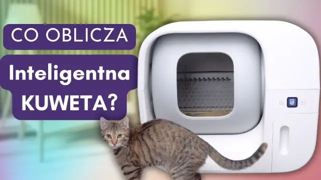 Jak działa kuweta samoczyszcząca? Odkryj jej sekrety i zalety