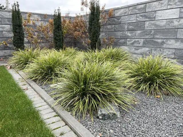 Co pod żwir w ogrodzie? Kluczowe kroki, aby uniknąć błędów