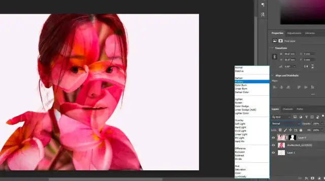 Jak obrócić obraz w Photoshopie? Kontrola nad każdym pikselem