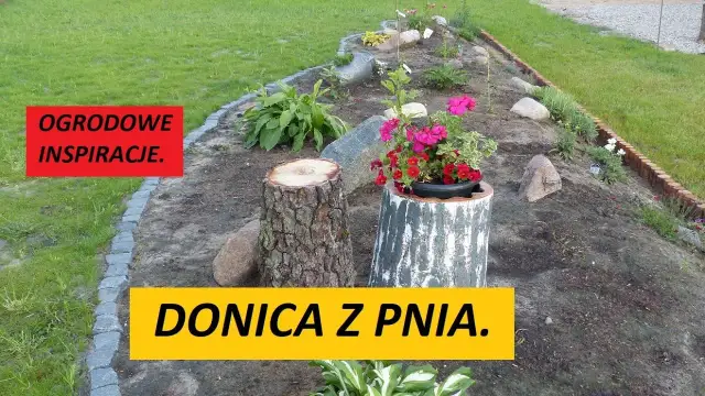 Stary pień? Zrób z niego kwietnik! Poradnik DIY krok po kroku