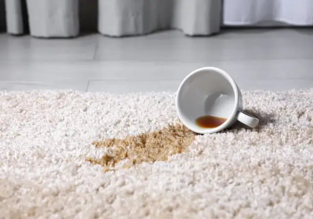 Jak usunąć plamy z kawy? Skuteczne metody, które działają natychmiast