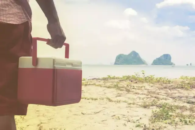 Jaka lodówka na kemping? Wybierz idealny model dla siebie!